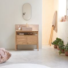 a bathroom with a sink, mirror and potted plants on the floor in front of it