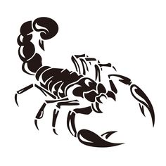 a black and white scorpion tattoo design