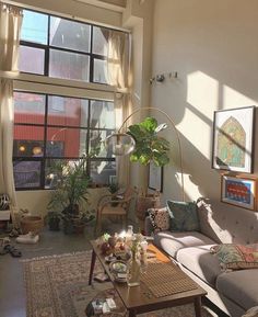 a living room filled with furniture and lots of windows