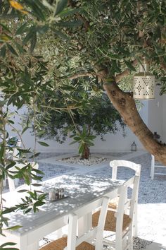 a table and chairs under a tree in the middle of an outdoor area with blue rugs