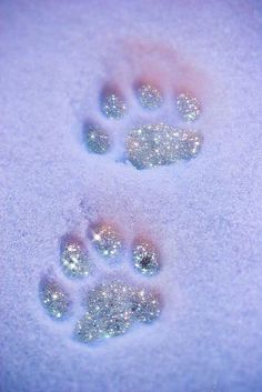 an animal's paw prints in the snow with some glittery bubbles on it