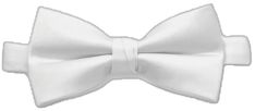 Classic White Bow For Summer, White Formal Bow For Summer, White Formal Bow Tie For Summer, White Bow Tie For Formal Summer Events, White Summer Bow Tie For Formal Occasions, White Adjustable Bow Tie Back, Adjustable White Bow Tie Back, Classic White Bow With Butterfly Knot, Classic White Bow Tie For Spring