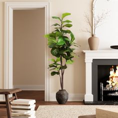 a living room with a fire place and a mirror on the wall next to it