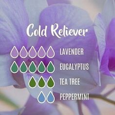 Essential Oils For Colds