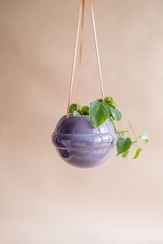 a purple hanging planter filled with green plants