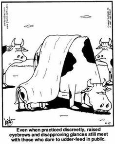 a black and white drawing of a cow with its head under a blanket that says, even when practically raised eyebrows and disapproving glapsees still meet with those who dare to udder - feed in public