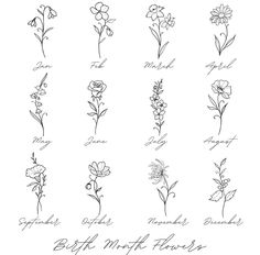 the different flowers and their names are drawn in ink on paper, which is also handwritten