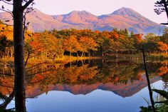 a lake surrounded by trees with mountains in the background