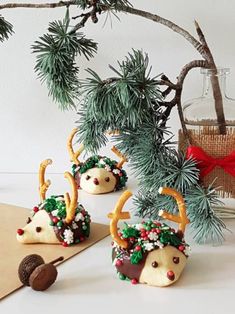 christmas hedgehog cookies are decorated with reindeer antlers and pine cones