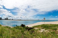 a view of the beach and ocean from across the grass covered shore with tall buildings in the distance