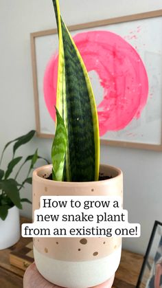 a plant in a pot with the words how to grow a new snake plant from an existing one