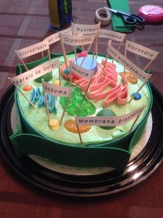 a cake that is sitting on top of a plate with name tags in the middle