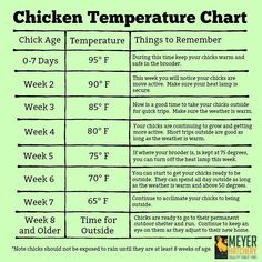 the chicken temperature chart is shown with instructions for how to cook it and what to use it