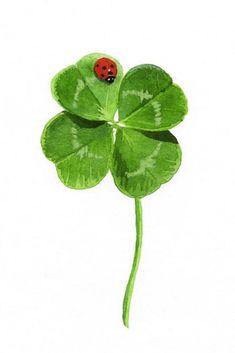 a watercolor drawing of a four leaf clover with a ladybug on it