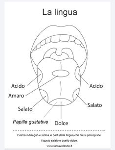 an image of the mouth and tongue with words in spanish, english and spanish on it