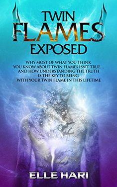 the cover to twin flames exposed by ellen hari, which features an image of a demon