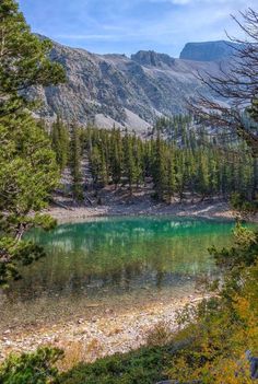 a lake surrounded by trees in the mountains