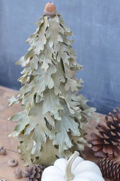 a small christmas tree sitting on top of a wooden table next to pine cones and white pumpkins