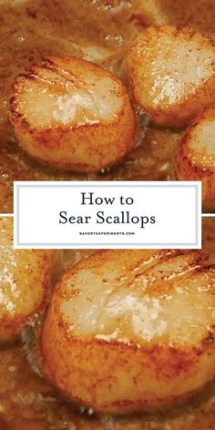 the cover of how to see scallops