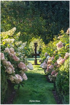 the garden is full of flowers and trees