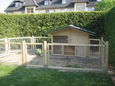 a dog house in the middle of a yard