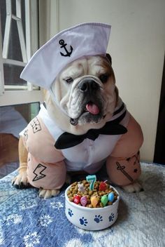 a dog dressed up as a sailor with his food