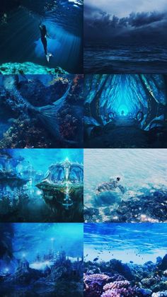 an underwater scene with people swimming in the water, and other images showing different types of ocean life