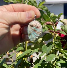 Green Shell-shaped Jewelry For Gifts, Green Shell Jewelry For Gifts, Gift Shell Necklace With Natural Stones, Bohemian Turquoise Shell As Gift, Handmade Multicolor Shell As A Gift, Red Bohemian Shell Necklace For Gift, Green Shell Jewelry As A Gift, Turquoise Shell Jewelry For Gifts, Ocean-inspired Turquoise Shell As Gift