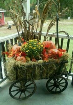 a wheelbarrow filled with pumpkins and gourds sitting on a porch