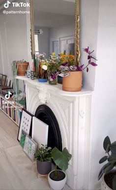 a fireplace with potted plants and pictures on the mantle