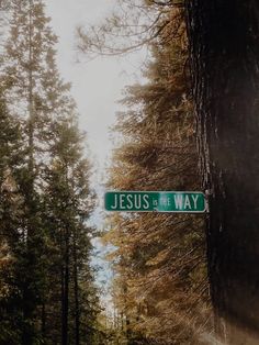 a street sign that reads jesus is the way in front of some trees and grass