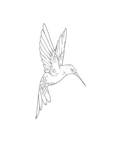 a black and white drawing of a hummingbird flying