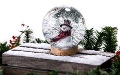 a snow globe sitting on top of a wooden box