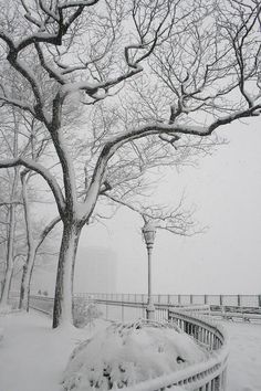 a park bench covered in snow next to a tree