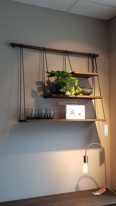 a shelf that has some plants on it