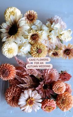 flowers are arranged in a plastic container with the words cake flowers and autumn wedding written on it