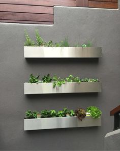 three stainless steel planters with plants growing in them