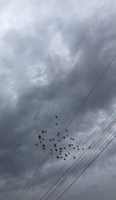 a flock of birds sitting on top of power lines under a cloudy sky with telephone wires