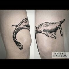 two tattoos on the legs of people that have dolphins in their stomachs, one is black and white