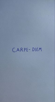 the word carpe diem is written in blue ink