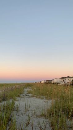 an empty beach with grass and houses in the background