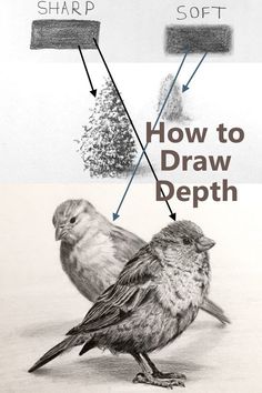 two birds sitting next to each other on top of a snow covered ground with the words how to draw depth