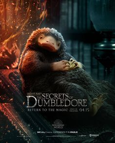 the poster for the movie secrets of dumbledore, featuring a large bird sitting on top of a pile of books