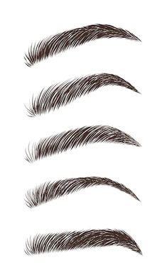 Eyebrow Tattoo Logo, Eyebrow Microblading Shapes, Eye Brows Drawing, Eyebrow Illustration, Brow Sketch, Eyebrow Photography, Eyebrow Sketch, Eyebrows Illustration