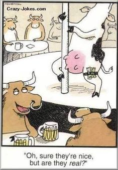 a comic strip with cows drinking beer