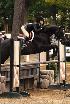 a person jumping a horse over an obstacle