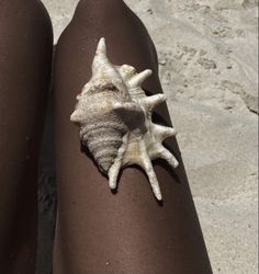 a close up of a person's leg with a sea shell on it