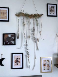 a white wall with pictures and plants hanging from it's sides, along with other framed objects