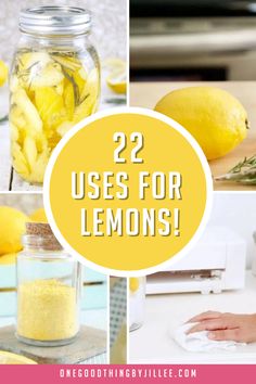 lemons and herbs are used to make homemade lemonade for use in the kitchen