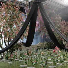 chairs are set up for an event with flowers on the ground and trees in the background